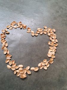 Pistachios Shells 110 Pieces