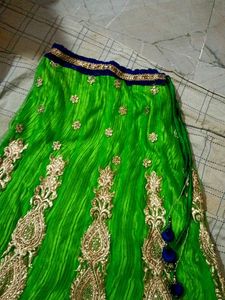 Green Embellished Dupatta