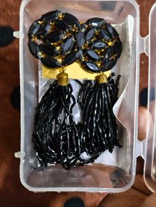 Black Tassel Earrings in Case