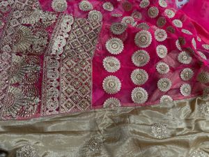 Pink &amp; Gold Embroidered Lehenga Saare