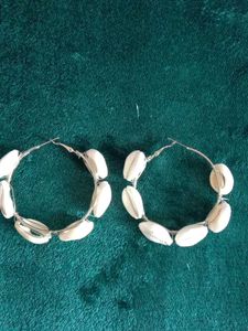 Cowrie Shell Earings