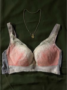 Pink Ombre Bra