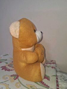 Adorable Teddy Bear - Best Wishes