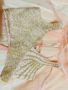 Bollywood Style Crop Top Choli