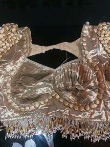 Gold Embellished Blouse and saree