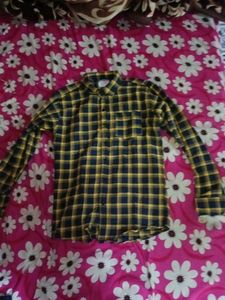 Green Button-Down Shirt