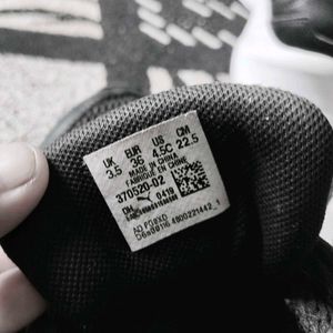Puma X Ray