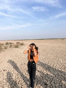 Stylish brown Puffer Vest