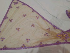 Elegant Beige Net Saree