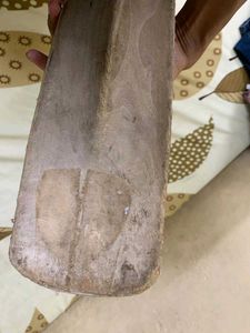 Kashmir Willow Sg Bat