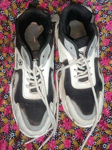 Fashion Sport Sneakers