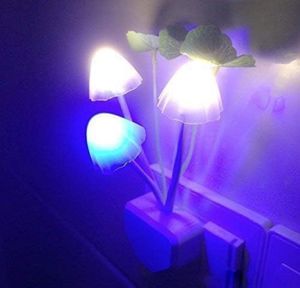 Mashroom Lamp