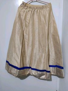 Ethnic Skirt