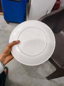 Floral Patterned Dinner Plates - Set of 6