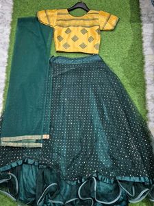 Elegant Lehenga Choli Set