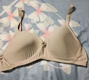 Very Comfortable Beige Bra