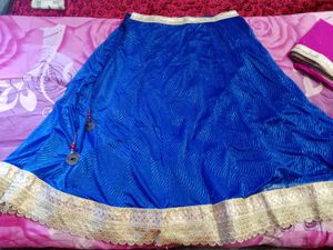 Blue & Gold Embellished Lehenga Skirt