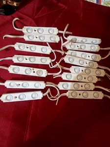 Science Project Led Lites