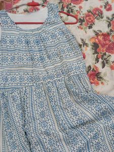 blue fit and flare women dress