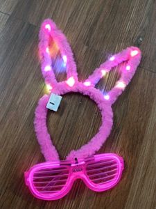 Bunny Ear &amp; Shutter Shades Set