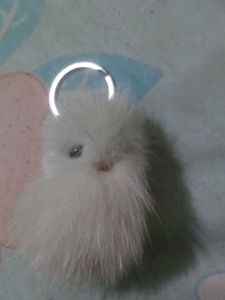 Fluffy Keychain
