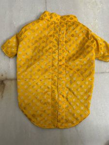 Traditional Dog Clothe