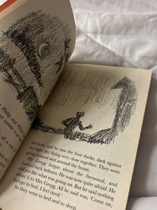 the magic finger- roald dahl