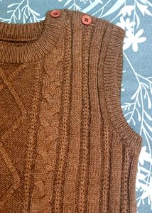 Brown sweater vest 🤎