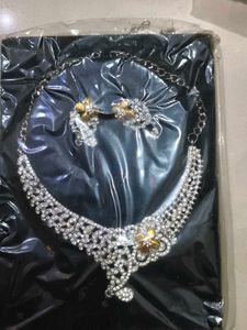 Elegant Rhinestone Necklace & Earring Set