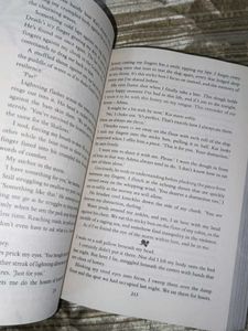 Lauren Roberts Powerful Series 3 Books
