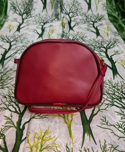 Super Cute Teddy 🧸 Sling Bags