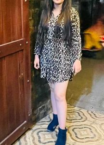 Leopard Print Dress