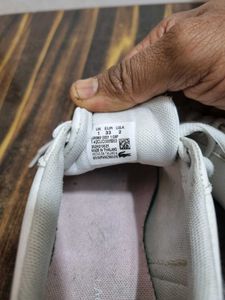 locoste shoesImported n original pairs