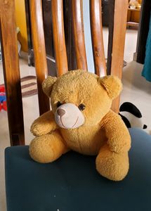 Soft Toys Combo Big And Small Teddy