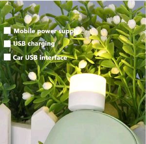 USB LED Lamp