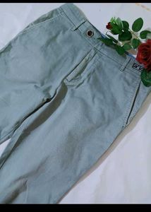 Chinos Pant