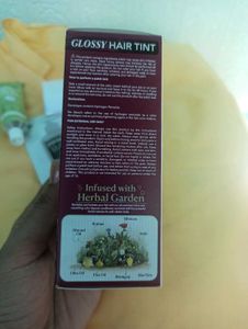 Paradyes Berry Plum Hair Tint