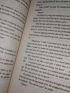 IT ENDS WITH US( Book)