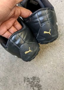 Puma Imported Luxury Shoes 👟