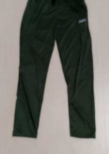 Olive Color Pant
