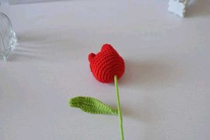Crochet Tulip