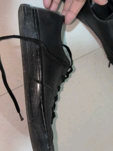 Tommy Hilfiger Black Casual Shoes