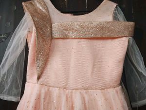 Beautiful Peach Party Gown For Women/Girls