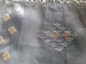 Elegant Embellished Saree