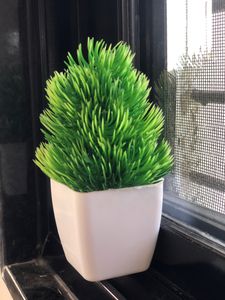 Small Tree Pot For Home Decoration ❤️