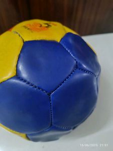 Colorful Play Ball