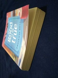 Too Good to Be True Novel