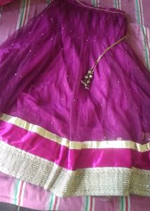 Beautiful Net Lehenga