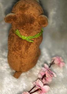 Near Plush Toy