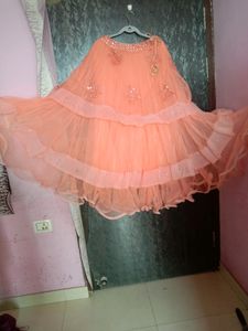 Peach Embellished Lehenga Skirt